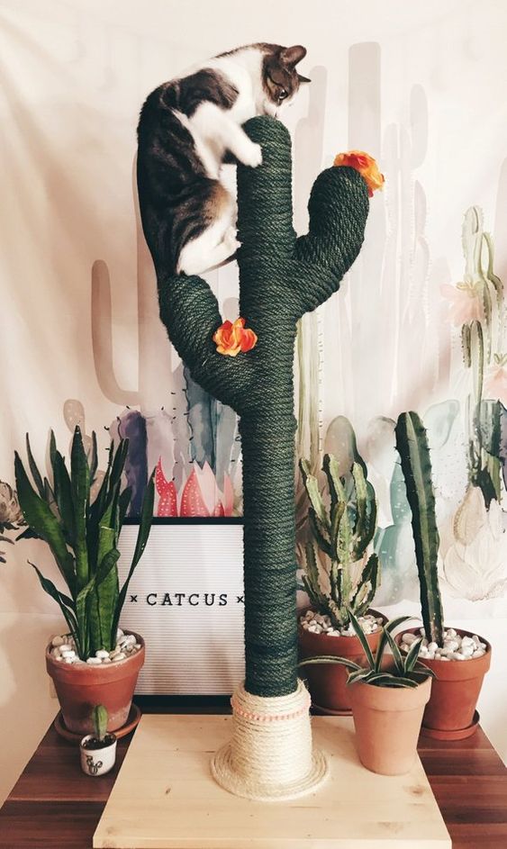Preliezačka pre mačku v tvare kaktusu