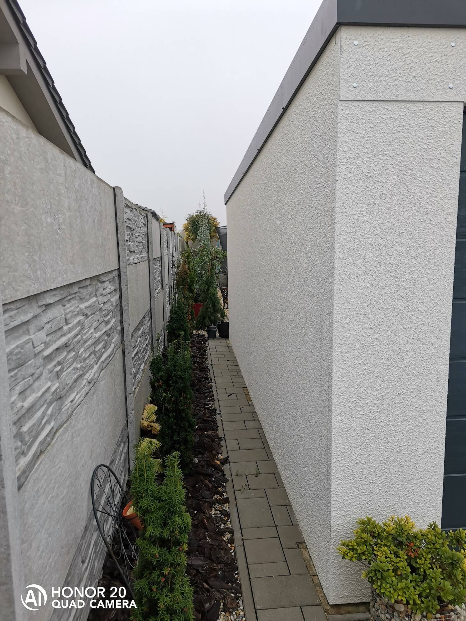 Rastlinky medzi garážou a plotom