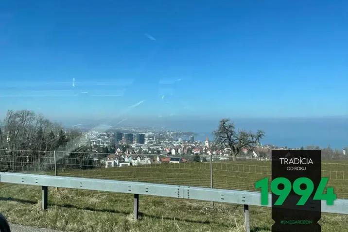 Výhled z auta na vesničku