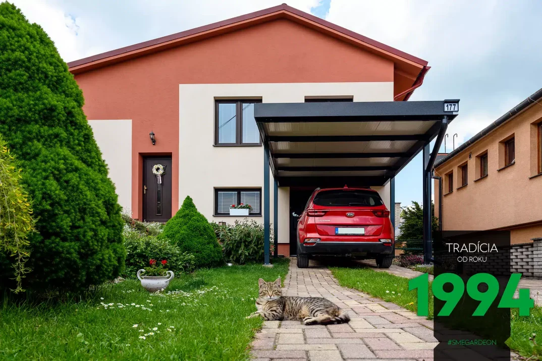 Kočka před přístřeškem a autem