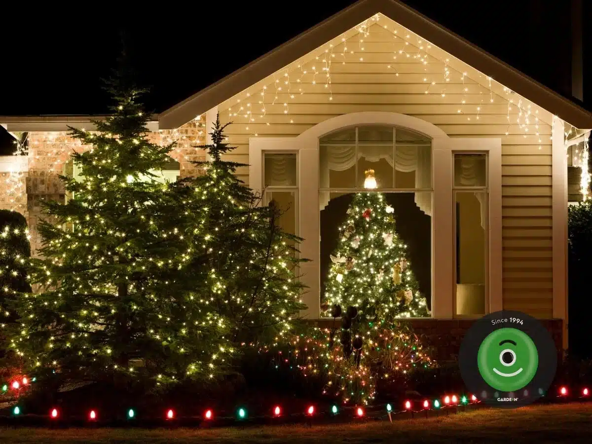 Vánoční stromky a okolí domu ozdobené světýlky