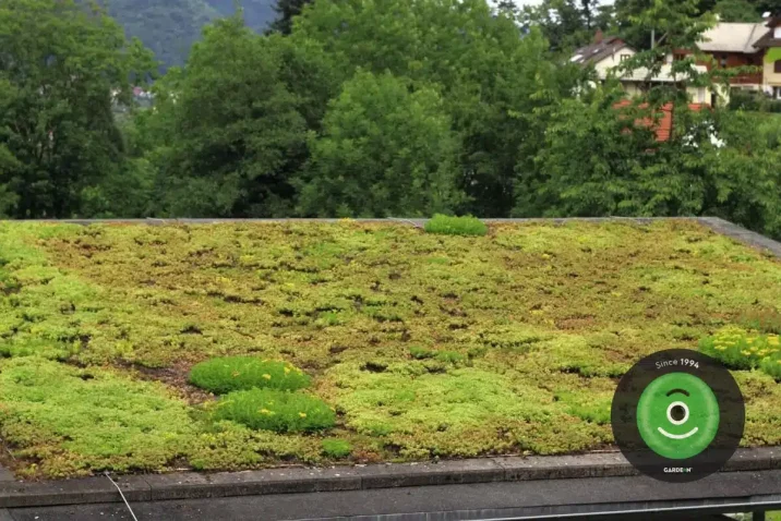 Zelená střecha domu.