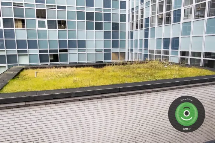 Trávník na zelené střeše budovy s kancelářemi.