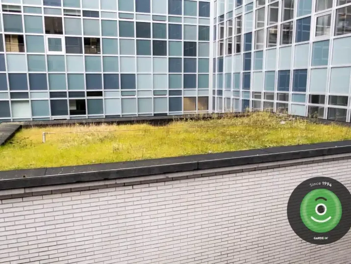 Trávník na zelené střeše budovy s kancelářemi.