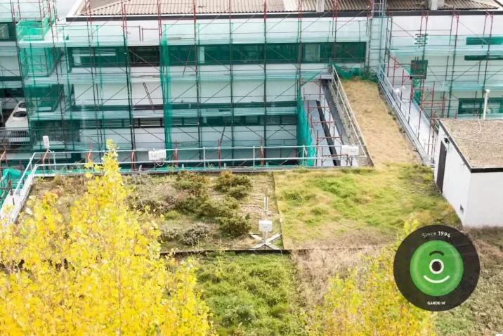 Zelená střecha posazená na nové budově.