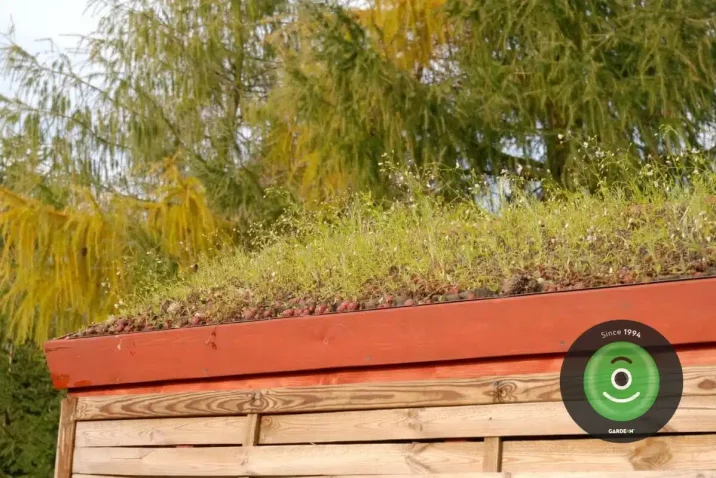 Luční rostliny na zelené střeše.