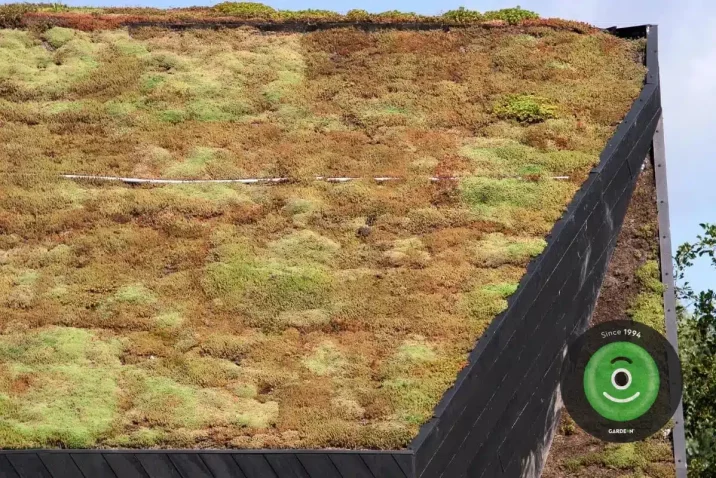 Tráva a mech na zelené střeše.