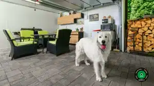 Zahradn&iacute; domek s modern&iacute;mi gar&aacute;žov&yacute;mi vraty a kuchyňkou.