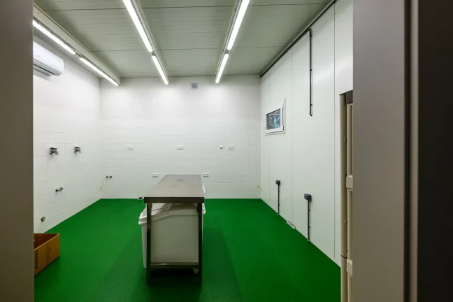 Čistý gastro prostor připravený pro výrobu a skladování zmrzliny